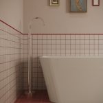 Corona_Camera005_0000_Post