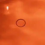 Wanna wolnostojąca OVAL - terakota - Kolekcja Marea - BOCCO